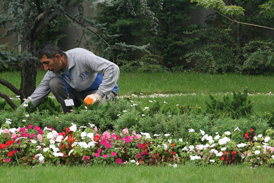 Bahçe Bakımı Nasıl Yapılır?